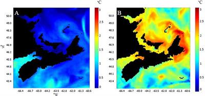 Past, Present, and Future: Performance of Two Bivalve Species Under Changing Environmental Conditions